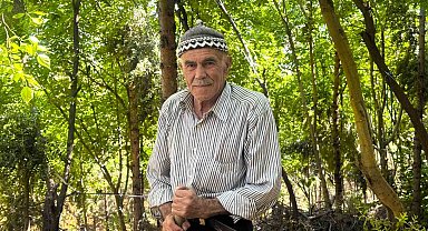 31 yılda 25 bin ağaç dikerek, kurak araziyi oksijen sahası yaptı