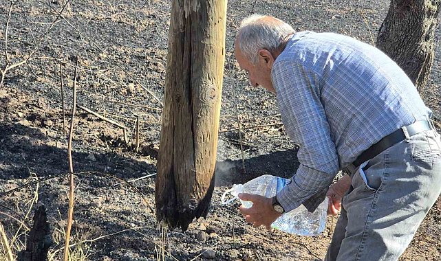 'Bereketli' topraklar karardı