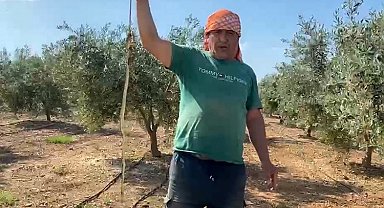 'Yılanı öldürdüm' deyip çektirdiği video pahalıya mal oldu: 22 bin TL ceza yedi