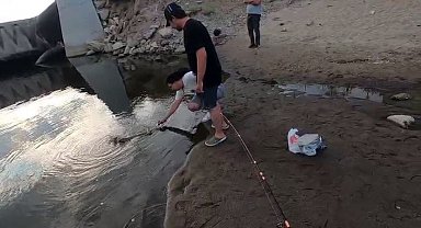 4 kişi yakalayamadı: Dev turna balığı son anda nehre kaçtı