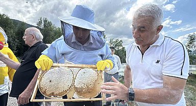 AB tescilli Yenice ıhlamur balında hasat başladı