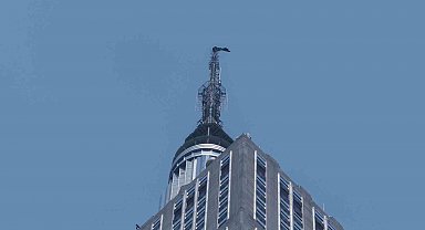 ABD'deki Empire State binasında tehlikeli evlilik teklifi: Rus çift gözaltına alındı