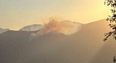 Adana'da orman yangını
