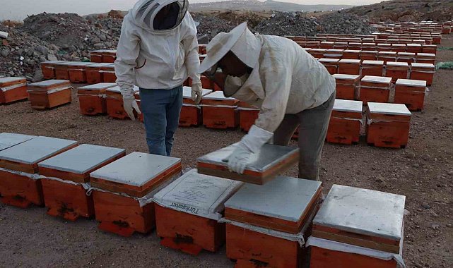 Adıyaman'da 2026 yılı bal fiyatları açıklandı