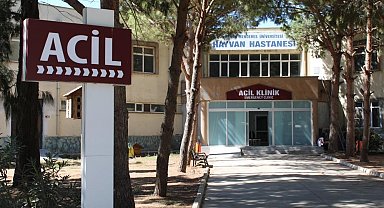 ADÜ Hayvan Hastanesi'nde online randevu dönemi başladı