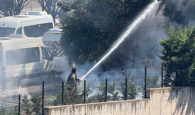 Ağaçlık alanda çıkan yangın büyümeden söndürüldü