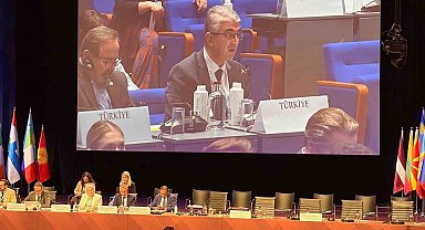 AGİT'te Türkiye rüzgarı: MHP'li Aydın'dan gençleri dijital tehditlerden koruyacak tarihi tasarı