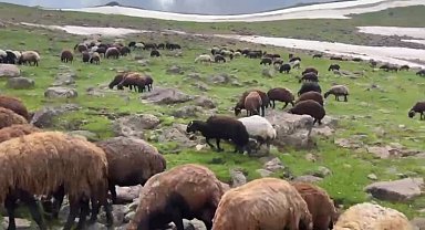 Ağrı'nın yaylalarında yaz ve kış bir arada