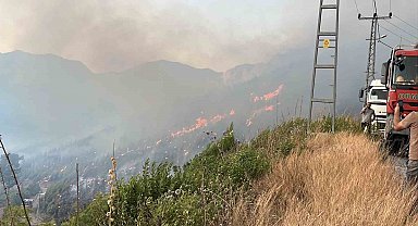 Alanya Sapadere Kanyonu'nda ormanlık alanda yangın