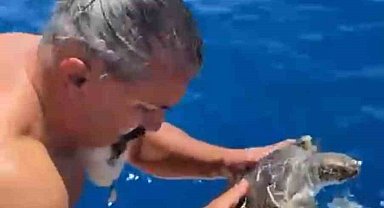 Alanya'da çuvala dolanan caretta carettayı tur teknesi kaptanı kurtardı