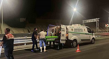 Alanya'da motosiklet bariyerlere çarptı, sürücü hayatını kaybetti