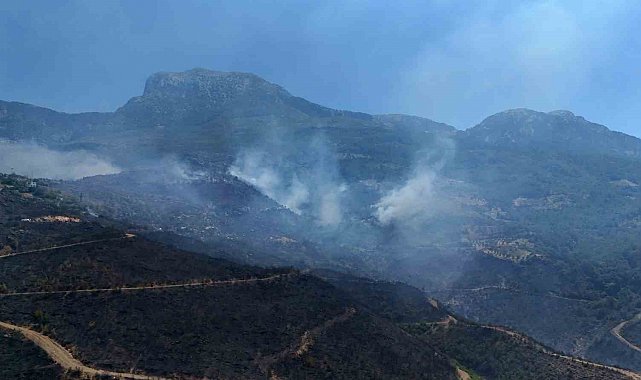 Alanya'daki orman yangınında mücadele ikinci gününde: Bölge dron ile görüntülendi