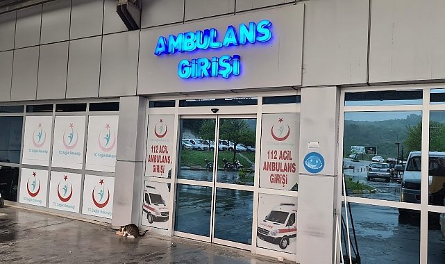 Alaplı'da 'pat-pat' kazası: 2 yaralı