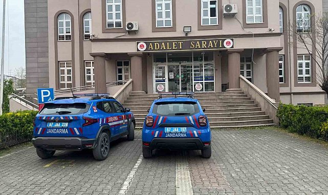 Alaplı'da uyuşturucu operasyonunda 7 kök kenevir ve esrar ele geçirildi