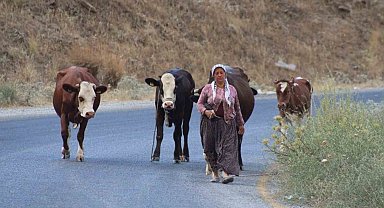 Alevlerden kaçtılar, hayvanlarını ve kendi canlarını zor kurtardılar