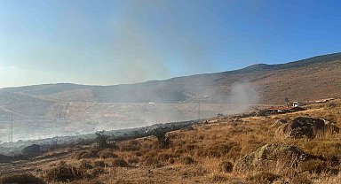 Aliağa'da otluk alanda yangın