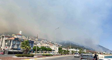 Altınoluk'taki orman yangınıyla ilgili Balıkesir Valisinden açıklama