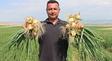 Amasya'da soğan bir bardak çaydan bile ucuz