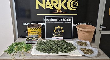Anamur'da uyuşturucu taciri yakalanıp tutuklandı