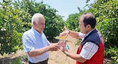 Andırın'da faydalı böcek ile doğal mücadele