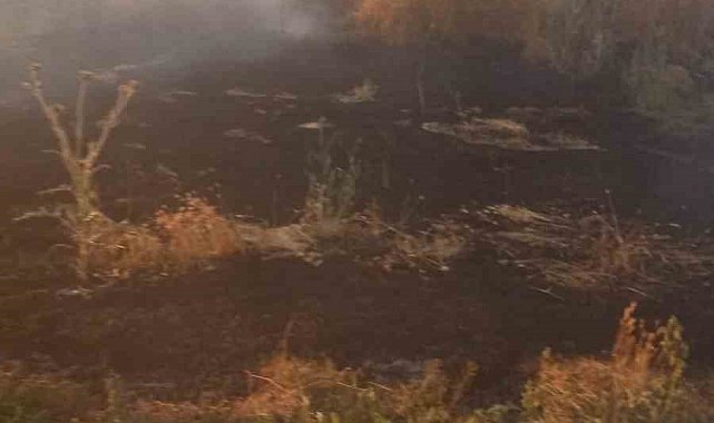 Anız yangını tarım arazileri ve ormanlık alana sıçramadan söndürüldü
