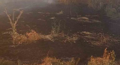 Anız yangını tarım arazileri ve ormanlık alana sıçramadan söndürüldü