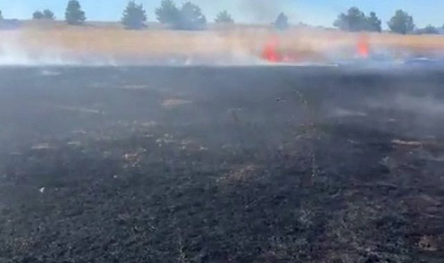 Anız yangınında 10 dönüm alan zarar gördü