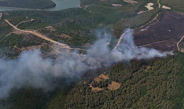Anızdan ormana sıçrayan yangın dron ile görüntülendi