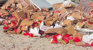 Ankara yolunda tır akaryakıt istasyonuna daldı, faciadan dönüldü