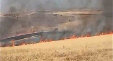 Ankara'da çıkan ot yangını kontrol altına alındı