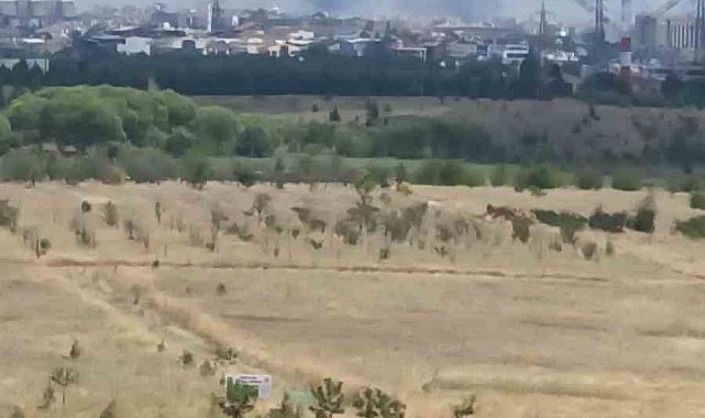Ankara'daki ot yangını kontrol altına alındı