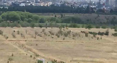 Ankara'daki ot yangını kontrol altına alındı