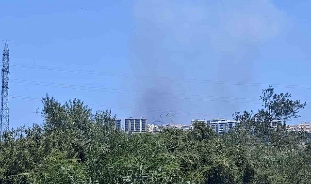 Antalya'da ormanlık alanda yangın