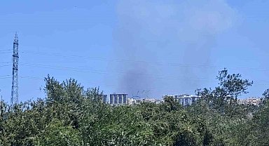 Antalya'da ormanlık alanda yangın