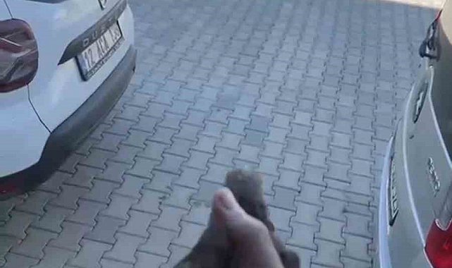 Apartman boşluğuna düşen sığırcık kurtarıldı