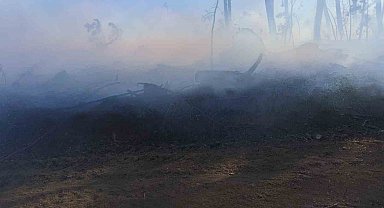 Araç yangını ormanlık alana sıçradı, ekipler alevleri büyümeden söndürdü