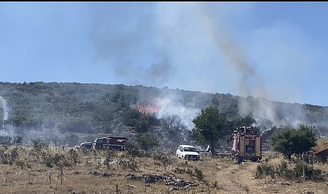 Arıcının tütsüsü ormanı yaktı