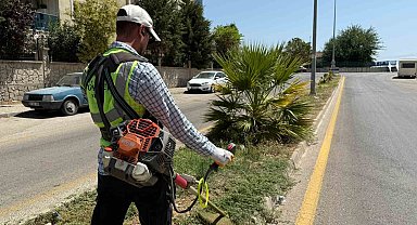 Aydın Büyükşehir'den Çeştepe'de park ve yeşil alanlara bakım