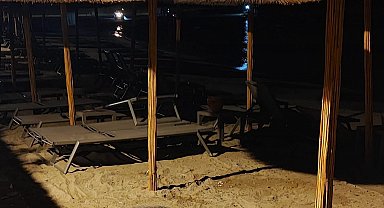 Aydın'ın Kuşadası ve Didim kıyılarında caretta hareketliliği