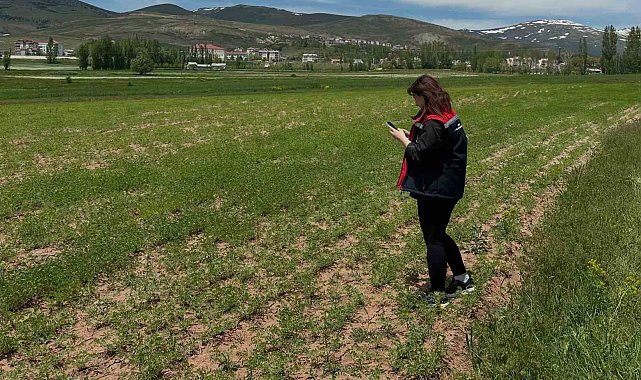 Aydıntepe'de ürün tespit çalışmaları sürüyor