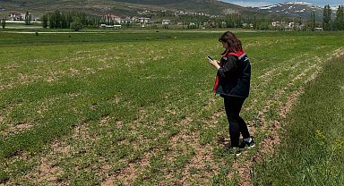 Aydıntepe'de ürün tespit çalışmaları sürüyor