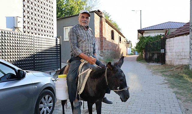 Ayhan amca yokluktan değil, sürücü belgesi olmadığından eşeği ile servis yapıyor