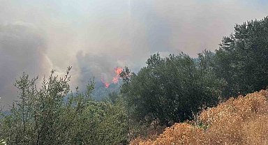 Ayvacık'ta arazi yangını ormana sıçradı