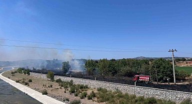Ayvacık'ta otluk alanda çıkan yangın söndürüldü