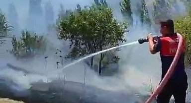 Bahçe yangınında çok sayıda ağaç zarar gördü