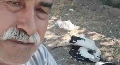 Bahçesindeki leyleklerin öldüğünü görünce gözyaşlarına boğuldu