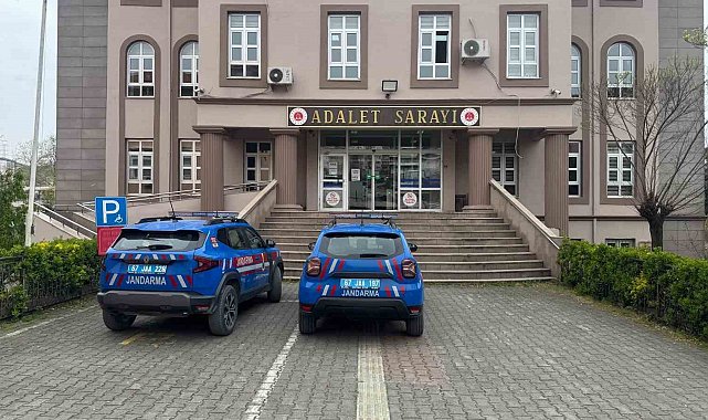 Bahçeye kenevir ekti, ihbarla yakalandı