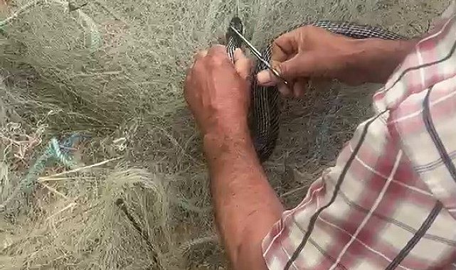 Balık ağında mahsur kılan yılanı elleriyle kurtardı