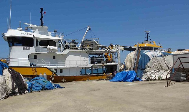 Balıkçıların yeni sezonda umudu palamut