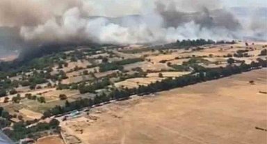 Balıkesir Altıeylül'de orman yangını